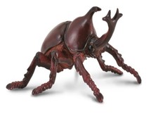 Collecta 88337 Nashornkäfer 7