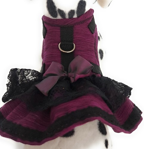 Hundegeschirr softgeschirr - hundegeschirr, s