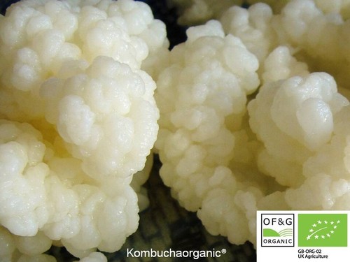 10g zertifizierte bio milch - 10g,
