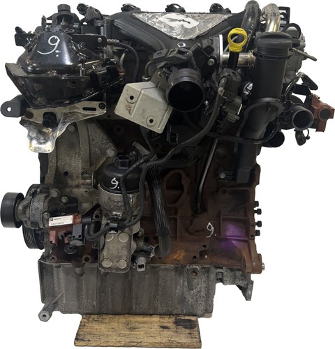 Motor für ford kuga 0 - ford, 2,0