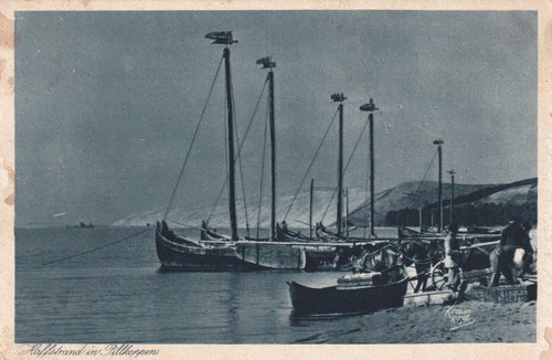 Pillkoppen morskoje - pillkoppen,