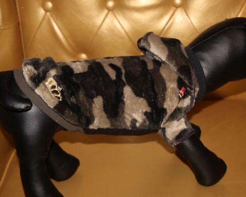 8152_Angeldog_Hundekleidung_Hu