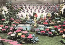 BELGIEN - Gent - Fents Floralien 1965 - Flandern  -  Postkarte  gelaufen