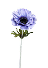 Anemone 38cm violett
