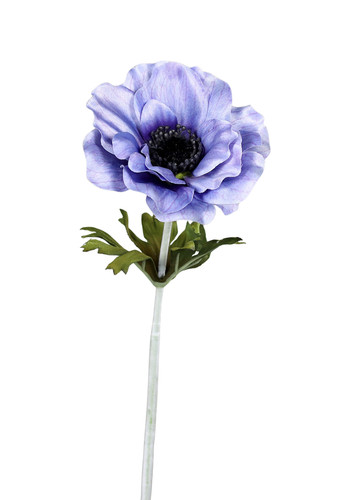 Anemone 38cm violett