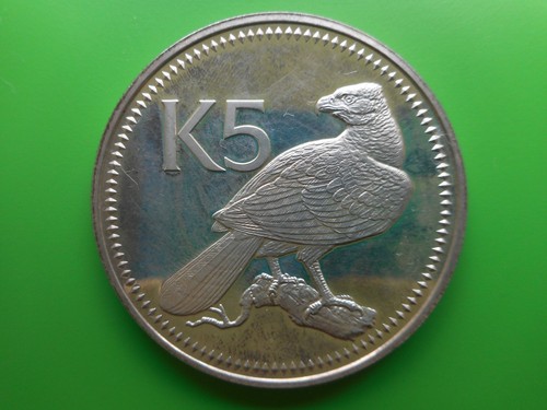 Papua new guinea - papua,