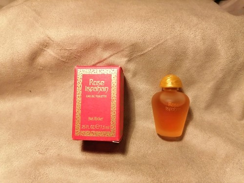 Miniature parfum rose - miniature,
