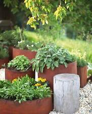 Edelrost Pflanzring 60 cm