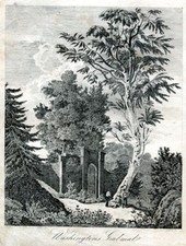 Washingtons Grabmal -