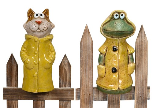 Zaunhocker frosch oder - frosch,