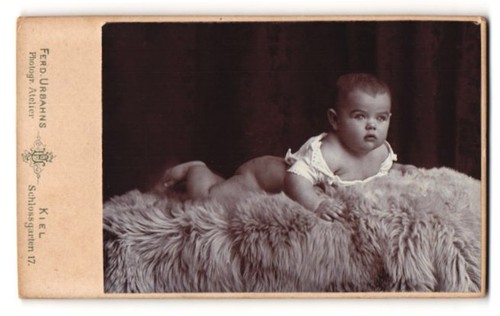 Fotografie ferd urbahns - fotografie,