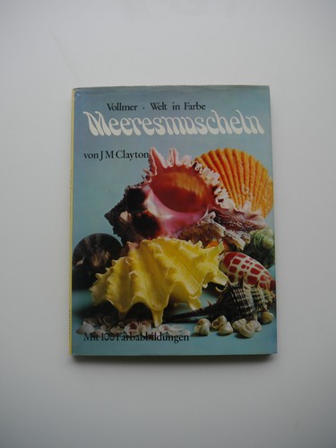 Meeresmuscheln welt in farbe - in,