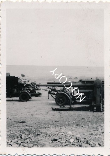 Foto legion condor - legion,