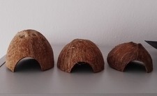 Kokosnussschalen für
