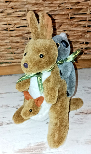 Känguru mit joey koala - känguru,