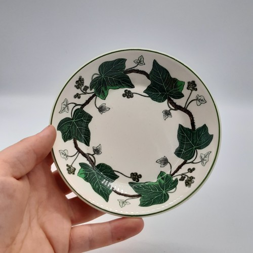 Wedgwood napoleon ivy - napoleon,