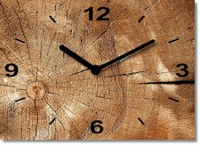 Rahmenlose Wanduhr in Holzoptik, 30x21cm | Design: Holz Art (4) | Quarzuhrwerk