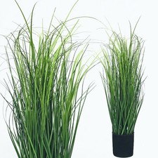 Wiesenschilfgras 85 cm