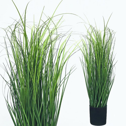 Wiesenschilfgras cm - wiesenschilfgras, 85