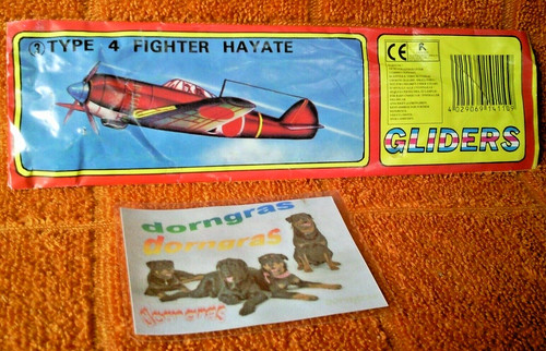 Flying gliders typ4 - flying,