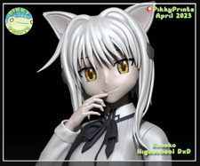 Koneko Toujou Highschool DxD