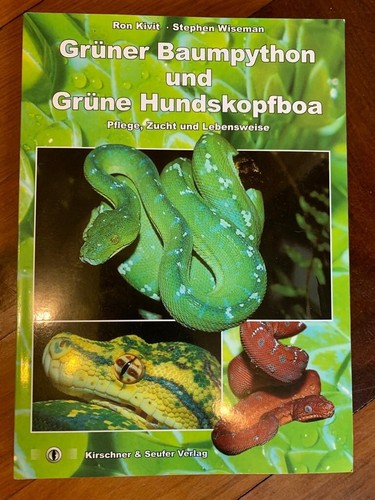 Grüner baumpython und - und, grüne