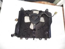 Kawasaki ZX10 Tomcat  Kühler