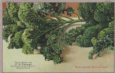 Bielefeld Dr. Oetker Grünkohl Rezept Pflaumenmus Nordrhein-Westfalen 2509108