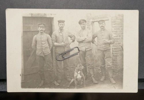 Foto feldpost 1918 hund - foto,