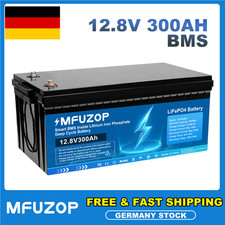 12V 300Ah Lithium Batterie LiFePO4 Akku 15000+ Zyklen Solaranlage Boot RV BMS