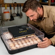 Eier inkubator brutautomat - inkubator,