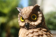 Castagna tierfigur große eule - große,