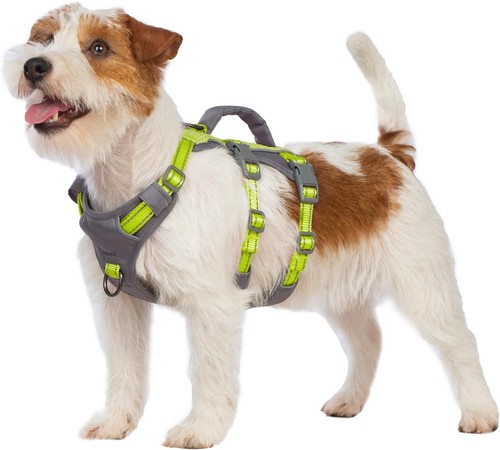 Sicherheitsgeschirr hund - sicherheitsgeschirr,