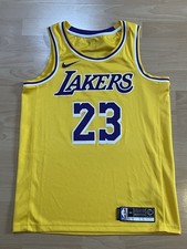 LA Lakers LeBron James NBA
