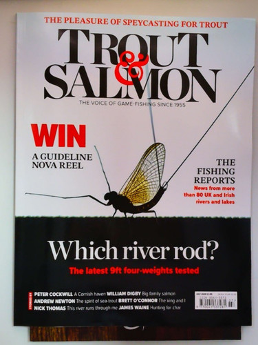 Trout salmon angelmagazin - trout,