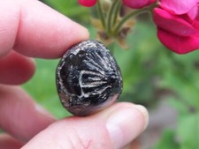 Tropfenförmiger Tektit aus Indochina, ca. 18 Gramm