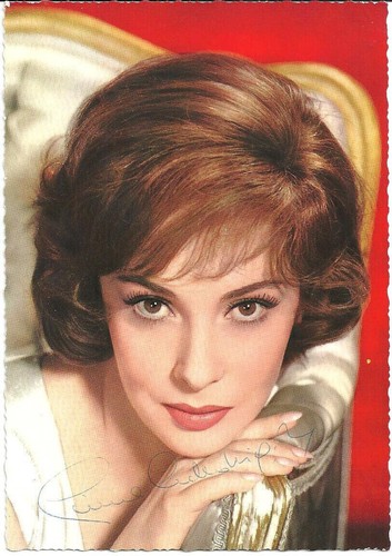 Gina lollobrigida original - lollobrigida,