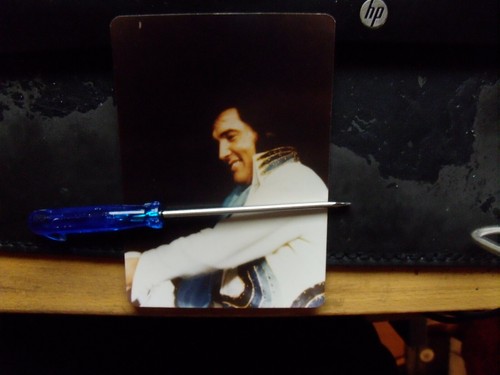 Elvis 1975 live konzert photo - live,