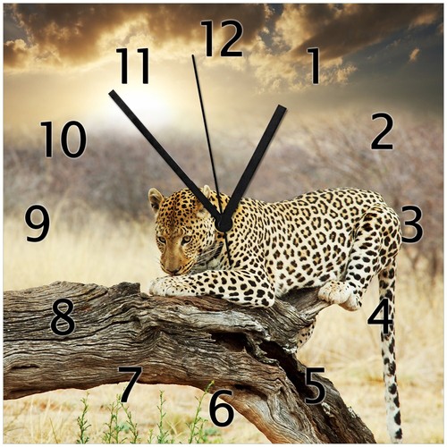 Wallario wanduhr aus glas - wallario,