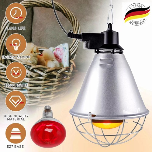 Wärmelampe inkl 250 w - 250,