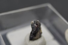 "rüsselartiger" x mit spiegelnder Endfläche auf... | FO: Niederfischbach 9#C350