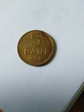 Dachbodenfund Alte Münze = 5 Bani (?) 1956 