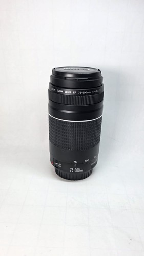 Canon 300mm 5 - 75-300mm, f/4-5.6