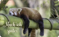 Witzige sprüche - witzige,