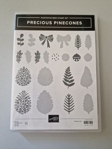 Precious pinecones stempelset - pinecones,