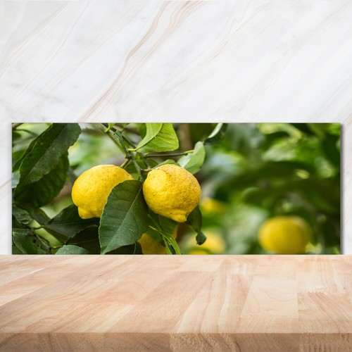 Küchenrückwand spritzschutz - küchenrückwand,