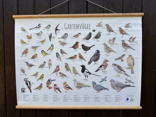 Rollkarte gartenvögel - -,