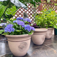 Pflanzkübel Pflanztopf