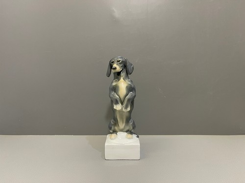 Müller schwarza - müller,