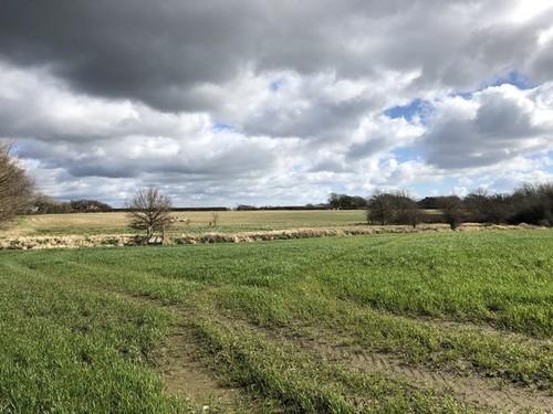 Foto 6x4 felder bei - foto,